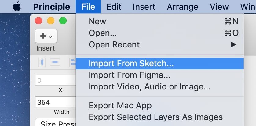 principle import sketch